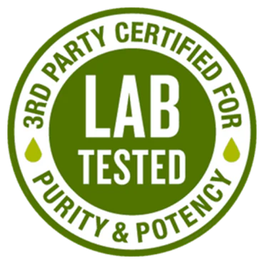 logo_3_370x