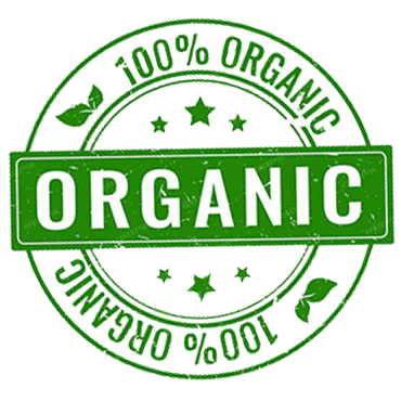 logo_5_370x